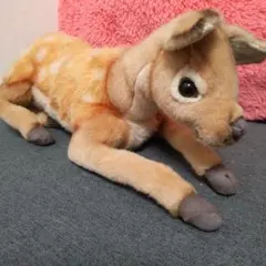 Item thumbnail for item 4e8cb330-65c3-4fa8-ac44-9347508657cb