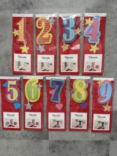 Item thumbnail for item 81f95296-a8d1-4f90-bcc2-9c40606b4d7a