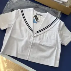 Item thumbnail for item 69dd1978-dd88-4d2b-af3e-c7153a544ab4