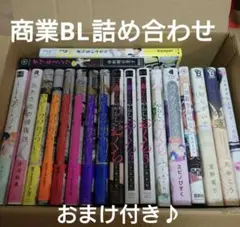 ★おまけ★商業BL まとめ売り 詰め合わせ ハッピークソライフ はらだ 夏野寛子
