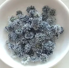 No,317☘️かすみ草のドライフラワー