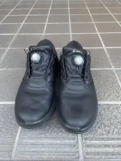 h**様 ecco ゴルフ バイオム エイチフォーゴルフシューズ 25.5cm ecco ゴルフシューズ BIOM H4 25.5cm(40) エコー ECCO ゴルフシューズ