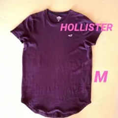 =HOLLISTER=　ロゴ刺繍パープルＴシャツ　M