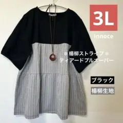☆大きいサイズ・3L☆インディヴィ シアー半袖ブラウス チェック柄 