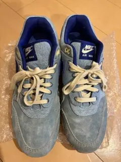 ナイキ エアマックス1