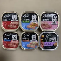 Cesar シーザー ドッグフード 6個セット③