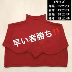 セーター 赤 レッド