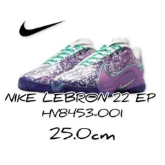 NIKE LEBRON 21 FV7276-401 29cm バッシュ - メルカリ