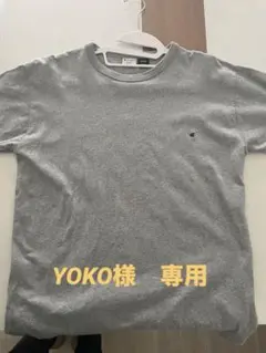 Champion 半袖Tシャツ Disney コラボ Sサイズ グレー