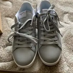 ミズノ スニーカー 24.5
