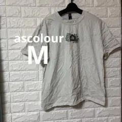 ascolour グレー　Tシャツ 半袖　【M】　 レディース　暑い生地