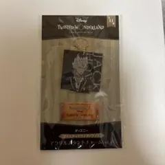 Item thumbnail for item 334f4669-0a24-4c98-851a-c75af6cd79fb