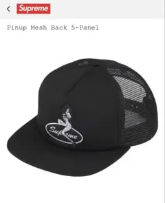 2025年最新】Supreme Pin Up Mesh Back 5-Panelの人気アイテム