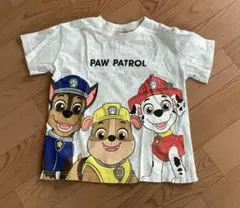 Paw Patrol Tシャツ 110cm グレー