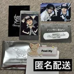 straykids スキズ dominATE アイエン フォクシニー まとめ売り