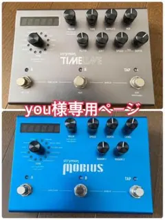 2025年最新】strymon MOBIUSの人気アイテム - メルカリ