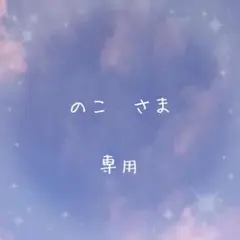 専用ページ
