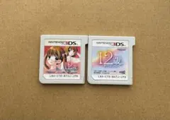 12歳。 3DSカセット 2個セット