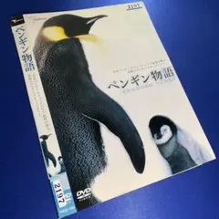 ペンギン夫婦の作り方 DVD - メルカリ