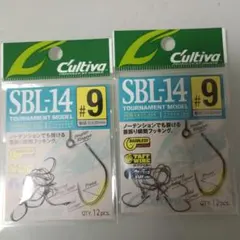 Item thumbnail for item 010dda94-d9e0-4c94-9a17-50a6164c181d