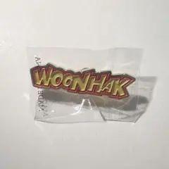 BOYNEXTDOOR WOONHAK ウナク ピンバッジ