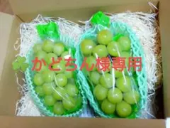 長野県産シャインマスカット秀品2房(合計1kg)　他