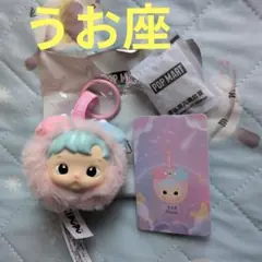 HACIPUPU　 The Constellation ハチププ　魚座　正規品