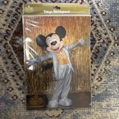 東京ディズニーランド ワンマンズドリームクリアファイル5枚セット