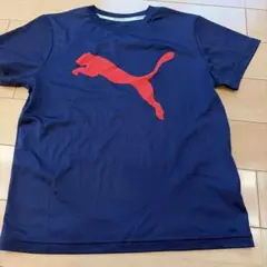 상태좋음 PUMA トレーニングシャツ 네이비