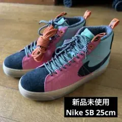 新品未使用タグ付き NIKE SB スニーカー サイズ 25cm