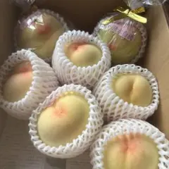岡山県産一宮ブランド清水白桃2.4キロ - メルカリ