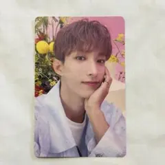 2026年最新】SEVENTEEN トレカ ドギョムの人気アイテム - メルカリ