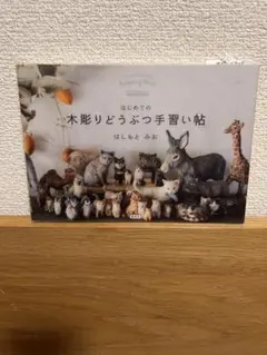 はじめての木彫りどうぶつ手習い帖　はしもとみお中古本　定価1980円