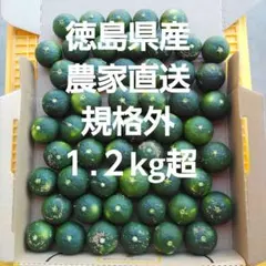 露地スダチ(二級品) 正味10kg超 露地スダチ(二級品) 正味10kg超 - メルカリ