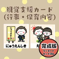 未使用　家庭保育園　絵カード、脳活性化カード、マグネットセット 園生活絵カード 女の子用 視覚支援 発達障害 自閉症 保育教材