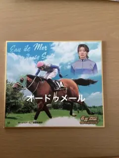 2026年最新】名馬列伝の人気アイテム - メルカリ