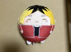 2025年最新】孤爪研磨 ふわコロりんの人気アイテム - メルカリ