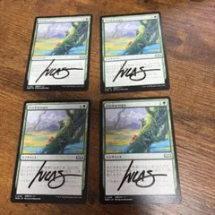 MTG 豆の木をのぼれ　日本語 4枚セット　画家サイン MTG 豆の木をのぼれ 日本語 4枚セット 画家サイン - メルカリ