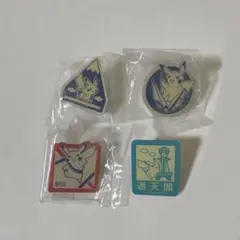 ポケモンセンタートウキョー 初代 ロゴピンズ バッジ 東京オープン