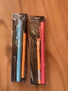 BIC ボールペン 2本セット