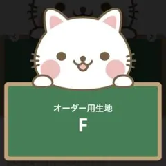 オーダー用生地 F