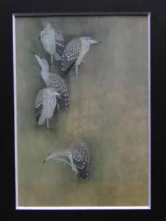 上村松篁 【鳥】 高級画集画、状態良好、新品高級額装付 上村松篁 【鳥】 高級画集画、状態良好、新品高級額装付 - メルカリ