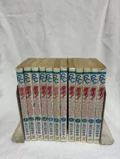 亜未!ノンストップ 全12巻セット