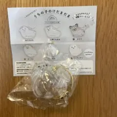 うちの子のけだまだま　カプセルトイ　ポメラニアン