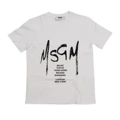 Item thumbnail for item 40ea7066-a6bd-4125-9483-7b47e82e7672