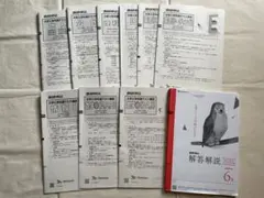 進研模試 大学入学共通テスト模試 2025年6月 9冊セット 解答解説のサムネイル