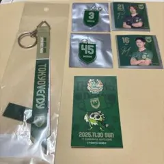 東京ヴェルディグッズセット(鹿島アントラーズボンフィン有)