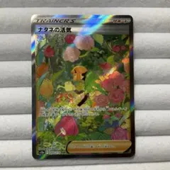 ポケモンカード ナタネの活気　sar