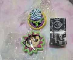 パワーパフガールズ ライトクリップ 2個セット