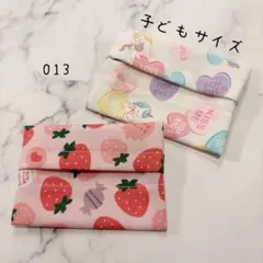 【013】ミニサイズ　ポケットティッシュケース　２個セット